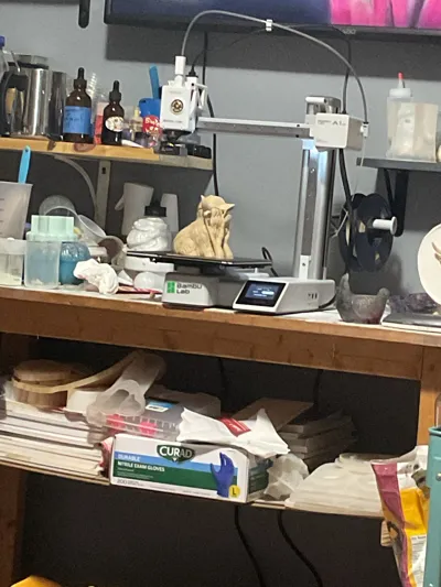 https://makerworld.bblmw.com/makerworld/model/1725190/1831580/ratings/31c838c0-b85d-11f0-9f6a-b1e49411bd3b.jpg