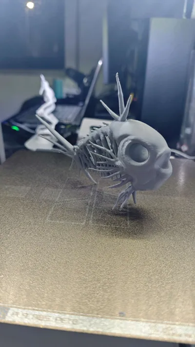 https://makerworld.bblmw.com/makerworld/model/1725549/1832037/ratings/52eae6b0-d77f-11f0-be58-6da13319567b.jpg