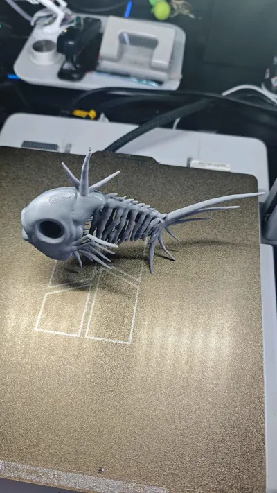 https://makerworld.bblmw.com/makerworld/model/1725549/1832037/ratings/53e79630-d77f-11f0-be58-6da13319567b.jpg