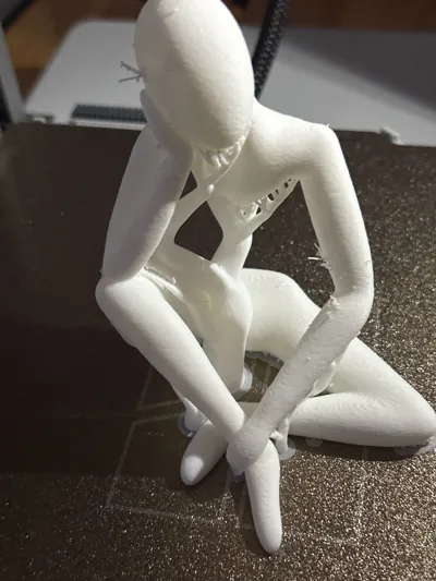 https://makerworld.bblmw.com/makerworld/model/172590/190027/ratings/6b7b48a0-967f-11f0-ac99-5f17020bc02a.jpg