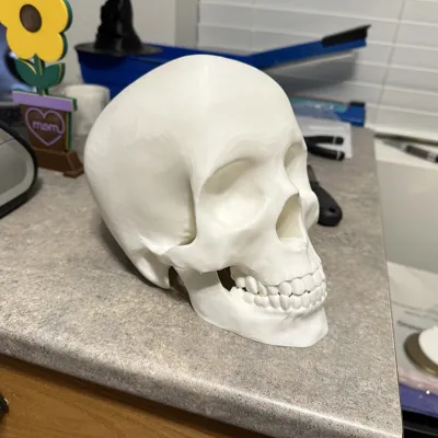 https://makerworld.bblmw.com/makerworld/model/17260/28515/ratings/2025-09-01_4b6470d845d3e.jpg