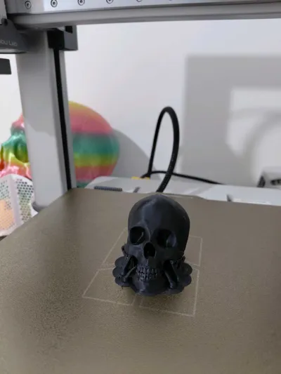 https://makerworld.bblmw.com/makerworld/model/17260/32885/ratings/ebef3fe0-62a0-11f0-a535-e70cbd6b4b55.jpg