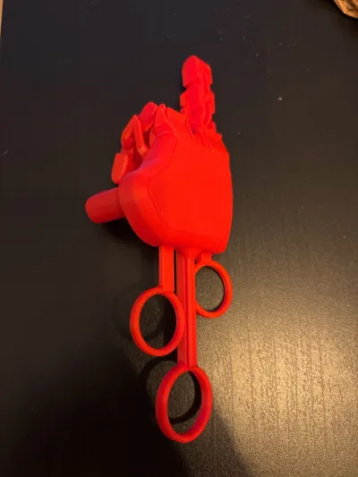 https://makerworld.bblmw.com/makerworld/model/1726019/1832652/ratings/1eec23e0-c197-11f0-9921-7908ef52a3c7.jpg