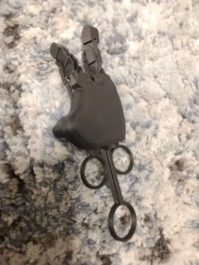 https://makerworld.bblmw.com/makerworld/model/1726019/1832652/ratings/3e7bbf00-e388-11f0-947d-7d1936b32be0.jpg