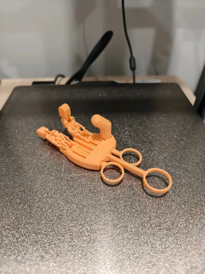 https://makerworld.bblmw.com/makerworld/model/1726019/1832652/ratings/a00f3270-8f0e-11f0-af90-8db1f80c3197.jpg