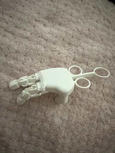 https://makerworld.bblmw.com/makerworld/model/1726019/1832652/ratings/dbb0d240-85a2-11f0-9bce-138064efeb58.jpg