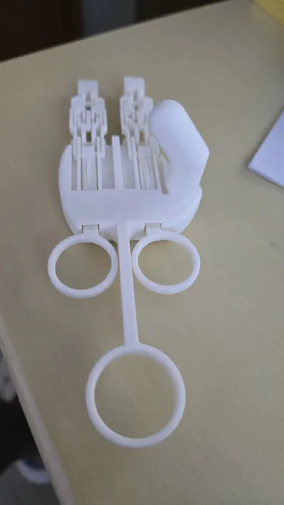 https://makerworld.bblmw.com/makerworld/model/1726019/1832652/ratings/e6372090-8320-11f0-9e04-4981a0d5df26.jpg