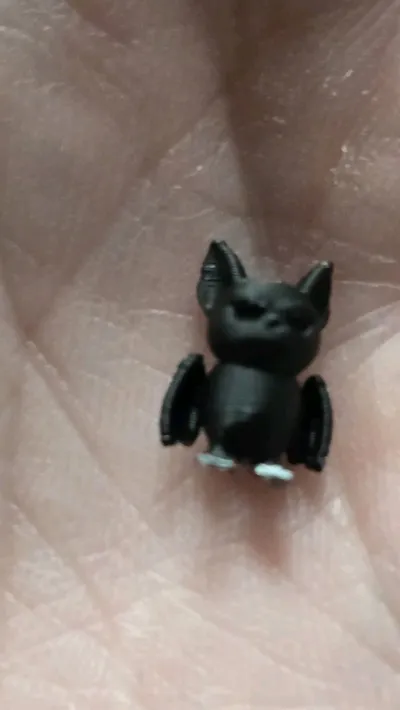 https://makerworld.bblmw.com/makerworld/model/1726481/1833195/ratings/2e1846e0-a5d7-11f0-a40a-1789b42fe574.jpg