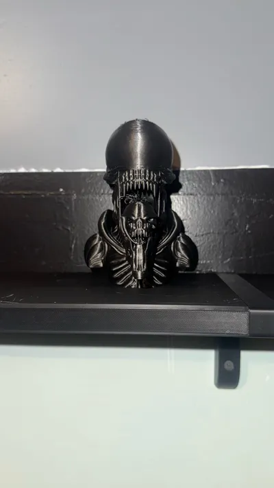 https://makerworld.bblmw.com/makerworld/model/1726632/1833375/ratings/91bec7b0-cee4-11f0-b337-09a621ed7c33.jpg
