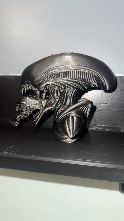 https://makerworld.bblmw.com/makerworld/model/1726632/1833375/ratings/91ccf880-cee4-11f0-b337-09a621ed7c33.jpg