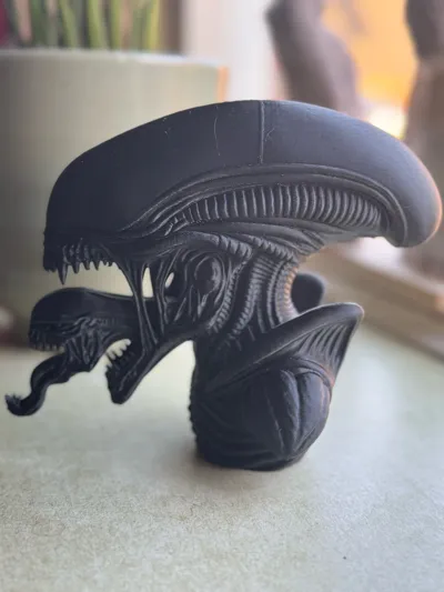 https://makerworld.bblmw.com/makerworld/model/1726632/1833375/ratings/f59b45e0-d08f-11f0-bd14-ab60b2533829.jpg