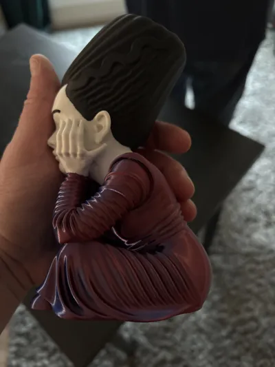https://makerworld.bblmw.com/makerworld/model/1727431/1834333/ratings/2025-12-30_f42baf7b64ded.jpg