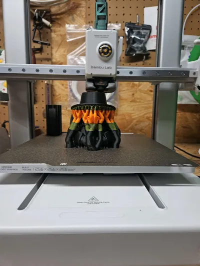 https://makerworld.bblmw.com/makerworld/model/1727574/1834488/ratings/35185bf0-f989-11f0-88c9-2962af6b4871.jpg