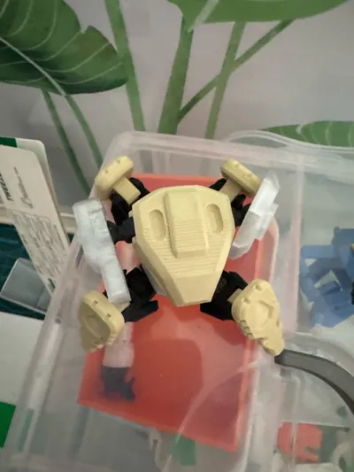 https://makerworld.bblmw.com/makerworld/model/1727778/1834773/ratings/60a02440-a41d-11f0-9f33-8b9c84c6cb17.jpg