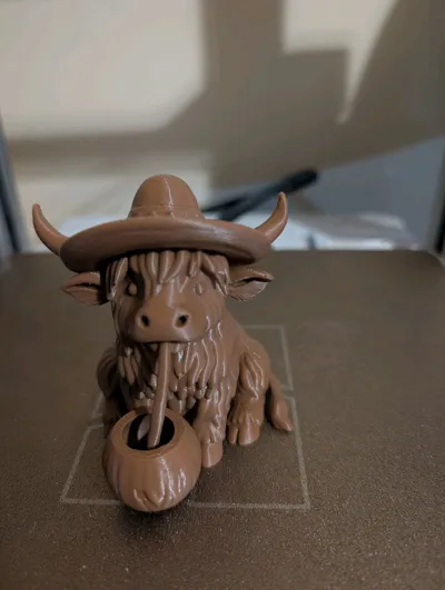 https://makerworld.bblmw.com/makerworld/model/1728008/1835054/ratings/6ff31200-f00c-11f0-b018-ad553feaab19.jpg