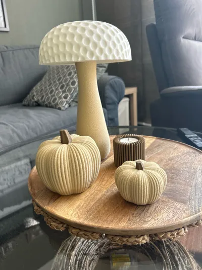 https://makerworld.bblmw.com/makerworld/model/1728873/1836081/ratings/5a7b15f0-9d17-11f0-b9ec-7333573420ca.jpg
