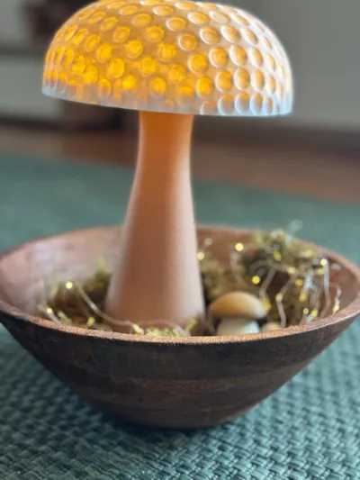 https://makerworld.bblmw.com/makerworld/model/1728873/1836081/ratings/821d9840-8a5b-11f0-af96-e398b7cf3eb7.jpg