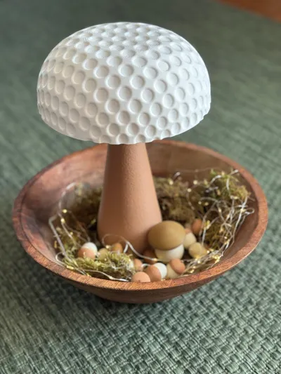 https://makerworld.bblmw.com/makerworld/model/1728873/1836081/ratings/821f9410-8a5b-11f0-af96-e398b7cf3eb7.jpg