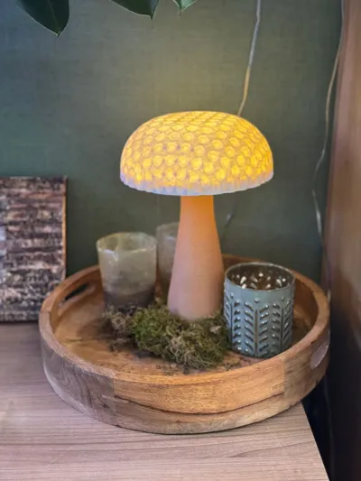 https://makerworld.bblmw.com/makerworld/model/1728873/1836081/ratings/d1d38460-8904-11f0-9f13-117c3c3bbc7f.jpg