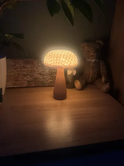 https://makerworld.bblmw.com/makerworld/model/1728873/1836081/ratings/d1d38461-8904-11f0-9f13-117c3c3bbc7f.jpg