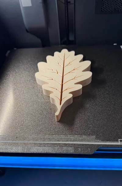 https://makerworld.bblmw.com/makerworld/model/1729161/1836386/ratings/e34e3390-b738-11f0-bd71-61ecb5d39b68.jpg