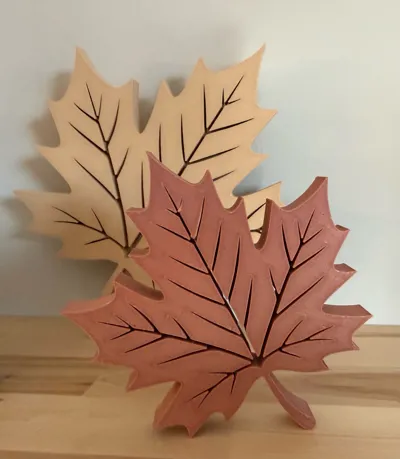 https://makerworld.bblmw.com/makerworld/model/1729189/1836431/ratings/04572ab0-a2e4-11f0-9325-87cd58a87195.jpg