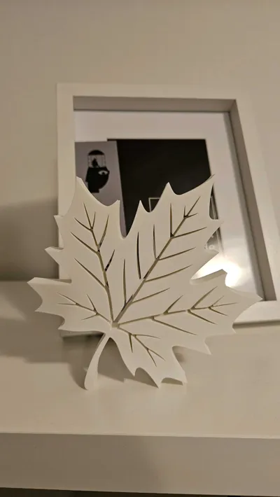 https://makerworld.bblmw.com/makerworld/model/1729189/1836431/ratings/c64b24b0-ca16-11f0-8ec6-4dcf3a7e8f3a.jpg