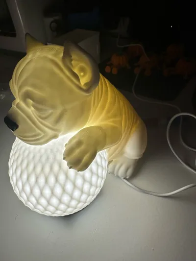 https://makerworld.bblmw.com/makerworld/model/1729293/1836566/ratings/1a95e830-88b7-11f0-8e67-4987e1823d11.jpg