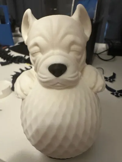 https://makerworld.bblmw.com/makerworld/model/1729293/1836566/ratings/1a99dfd0-88b7-11f0-8e67-4987e1823d11.jpg