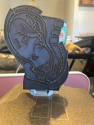 https://makerworld.bblmw.com/makerworld/model/1729324/1836602/ratings/faeee370-91c5-11f0-bde0-9319745c4959.jpg