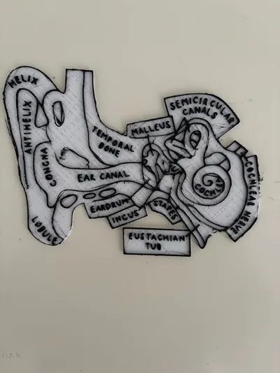 https://makerworld.bblmw.com/makerworld/model/1729358/1836638/ratings/61141d50-cb91-11f0-978b-992cc62e620a.jpg