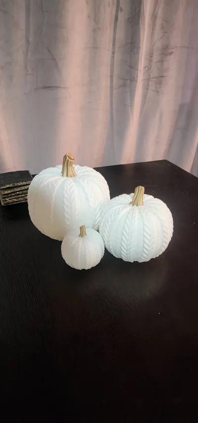 https://makerworld.bblmw.com/makerworld/model/1733029/1845339/ratings/592e38a0-b8b8-11f0-ae5b-a1b14334486b.jpg