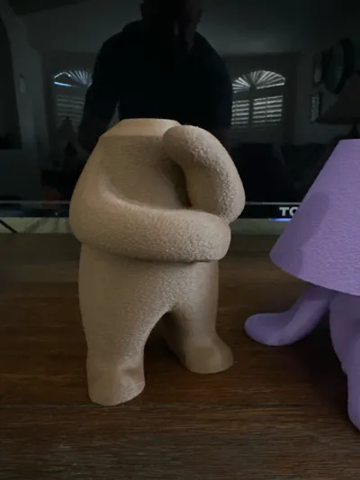 https://makerworld.bblmw.com/makerworld/model/1735528/1843867/ratings/d0977670-884a-11f0-b946-0fb28c9a5042.jpg