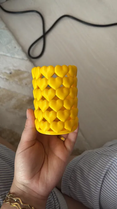 https://makerworld.bblmw.com/makerworld/model/1736112/1844539/ratings/224270e0-8dfc-11f0-857d-098e4b17a91e.jpg