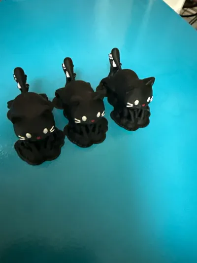 https://makerworld.bblmw.com/makerworld/model/1736205/1844648/ratings/07318420-85f6-11f0-a532-31997b96779c.jpg