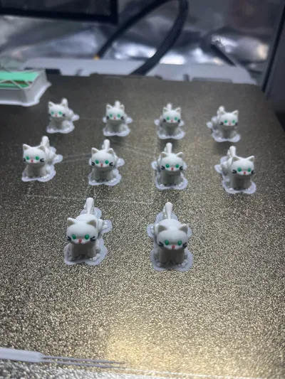 https://makerworld.bblmw.com/makerworld/model/1736205/1961780/ratings/83f03bc0-dd65-11f0-831b-65ba4a075ef3.jpg