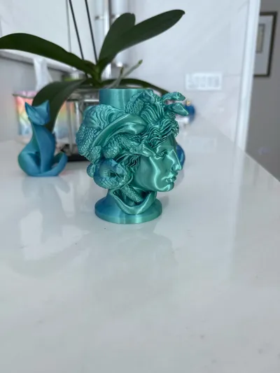 https://makerworld.bblmw.com/makerworld/model/1736283/1844721/ratings/b9f2f060-bbe0-11f0-adc0-7f625b1e161f.jpg