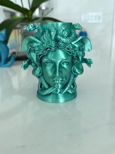 https://makerworld.bblmw.com/makerworld/model/1736283/1844721/ratings/b9f78440-bbe0-11f0-adc0-7f625b1e161f.jpg