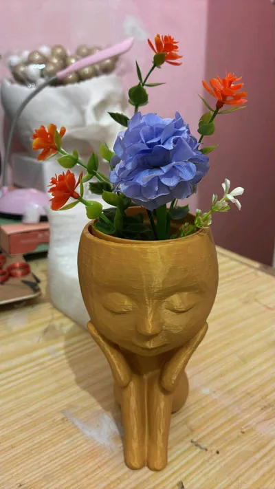 https://makerworld.bblmw.com/makerworld/model/1736289/1844726/ratings/42b2c1d0-aeaa-11f0-a47f-533703fdd6e5.jpg