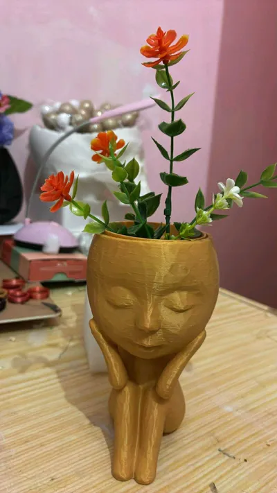 https://makerworld.bblmw.com/makerworld/model/1736289/1844726/ratings/42bf44f0-aeaa-11f0-a47f-533703fdd6e5.jpg