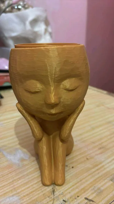 https://makerworld.bblmw.com/makerworld/model/1736289/1844726/ratings/42c31580-aeaa-11f0-a47f-533703fdd6e5.jpg
