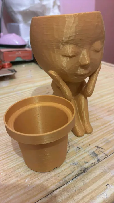 https://makerworld.bblmw.com/makerworld/model/1736289/1844726/ratings/42c73430-aeaa-11f0-a47f-533703fdd6e5.jpg