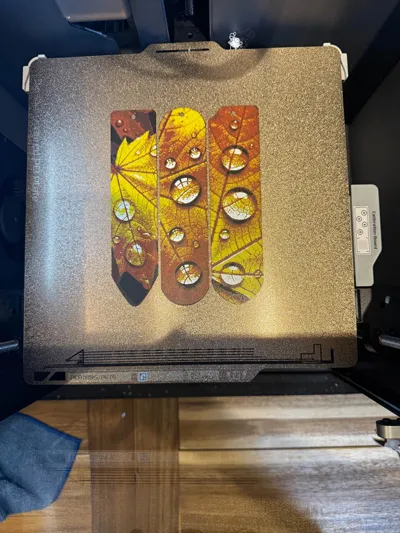 https://makerworld.bblmw.com/makerworld/model/1736754/1845304/ratings/3531a8d0-8855-11f0-8f8f-c1f1f5b5e436.jpg