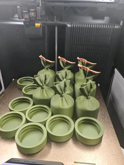 https://makerworld.bblmw.com/makerworld/model/1738604/1847393/ratings/c0e184f0-ebd2-11f0-b6b4-5bf5ee85622e.jpg