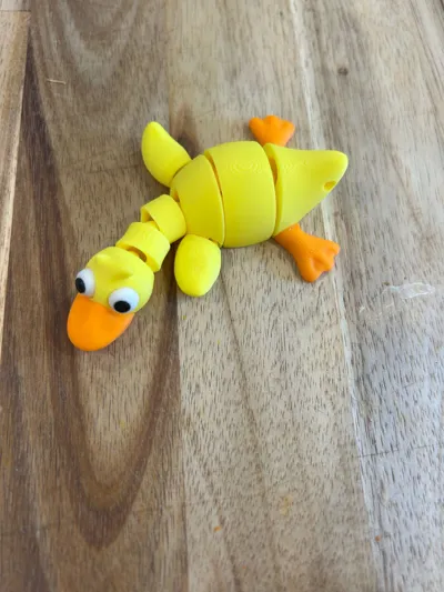 https://makerworld.bblmw.com/makerworld/model/1739757/1848735/ratings/e7ccdeb0-d6c5-11f0-bd8d-bff9b3d79a55.jpg