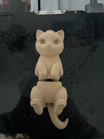 https://makerworld.bblmw.com/makerworld/model/1741790/1851048/ratings/9ef889e0-a5d9-11f0-af18-c56d0831fdac.jpg