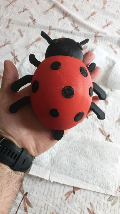 https://makerworld.bblmw.com/makerworld/model/1741874/1851139/ratings/79c8a7b0-a04b-11f0-8f62-b529c1467b8b.jpg