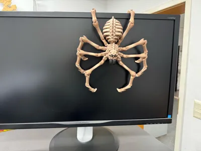 https://makerworld.bblmw.com/makerworld/model/1742828/1852299/ratings/05686680-9173-11f0-ae4b-f574bfcad2d9.jpg