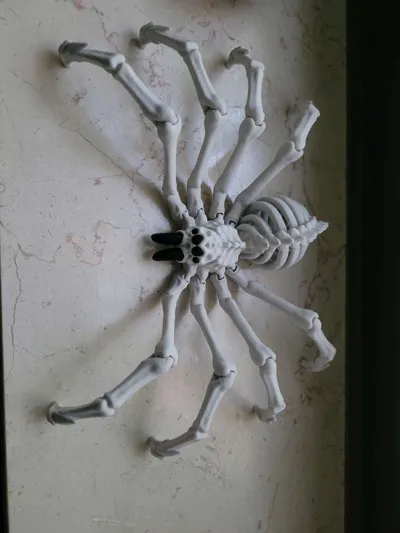 https://makerworld.bblmw.com/makerworld/model/1742828/1852299/ratings/5baaa780-aa58-11f0-a7d9-4f3d7d09734d.jpg