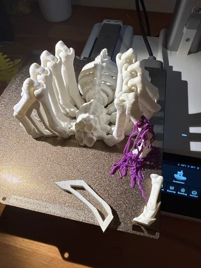 https://makerworld.bblmw.com/makerworld/model/1742828/1914213/ratings/893eed70-df6c-11f0-b2c1-3dbd890160c9.jpg